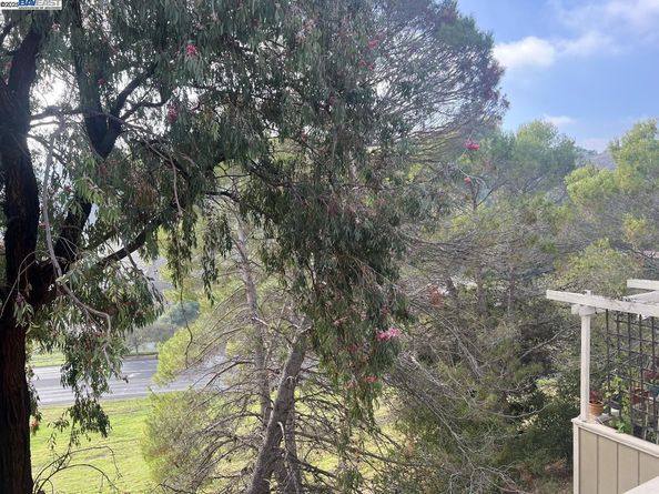 405 Thistle Cir, Martinez CA 94553