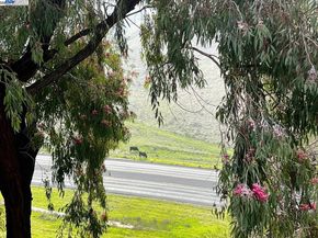 405 Thistle Cir, Martinez CA 94553