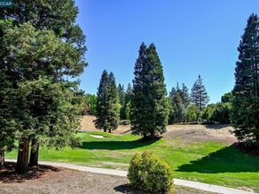 1020 Canyon Hills Road, San Ramon CA 94582
