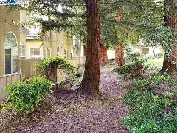 1405 Forest Run, Hercules CA 94547