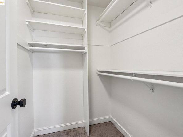 1075 Spruce Street, Berkeley CA 94707