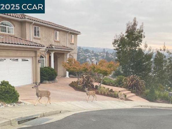 2876 Eugene Ter, Castro Valley CA 94546