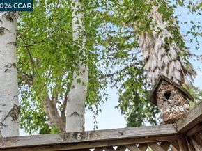 517 Garden Creek Pl, Danville CA 94526