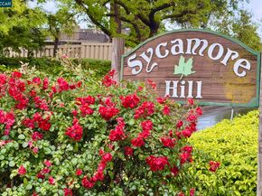 327 Sycamore Hill Ct, Danville CA 94526