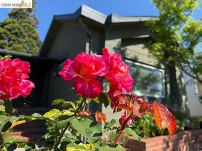 1233 Carleton St, Berkeley CA 94702