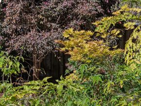 2953 Hillegass Ave, Berkeley CA 94705