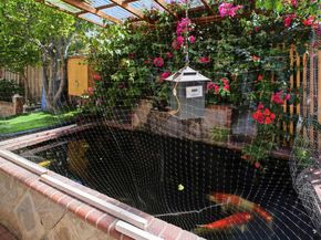 32760 Orick St, Union City CA 94587