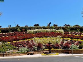 3113 Lakemont Dr 1, San Ramon CA 94582