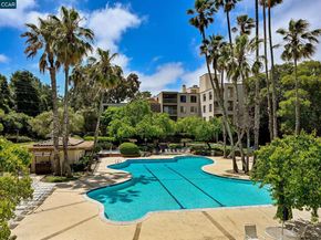 330 N Civic Dr 203, Walnut Creek CA 94596