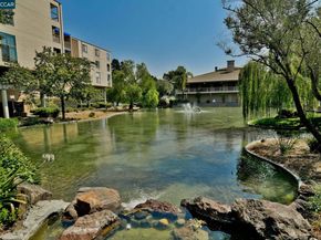 330 N Civic Dr 203, Walnut Creek CA 94596