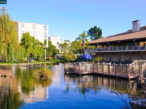 330 N Civic Dr 203, Walnut Creek CA 94596