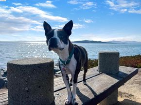 2101 Jetty Dr, Richmond CA 94804