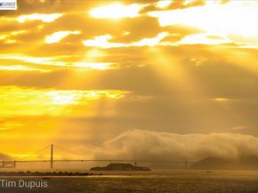 6363 Christie Ave 1813, Emeryville CA 94608