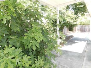 3411 Del Monte Way, San Leandro CA 94578