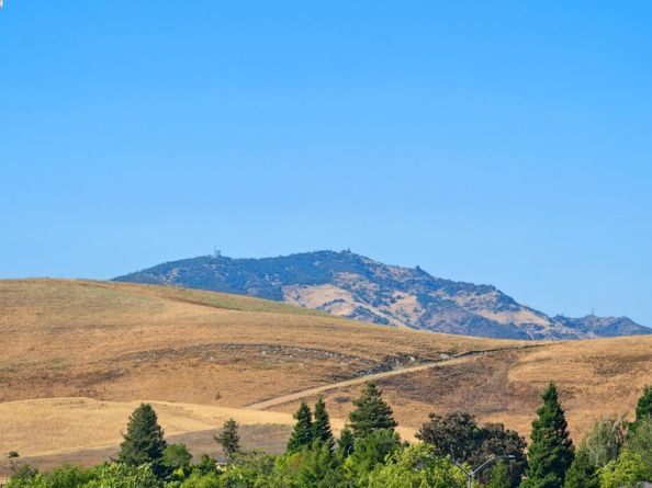 447 Donner Way, San Ramon CA 94582