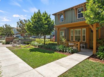 454 Persimmon Common