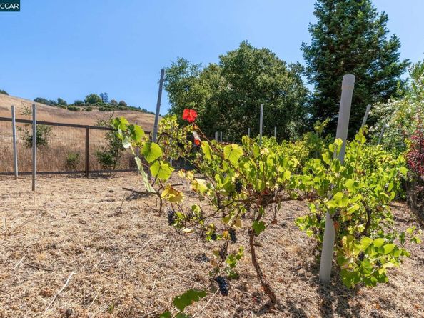 127 Devin Dr, Moraga CA 94556