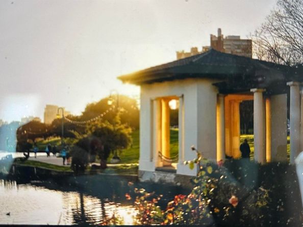 567 Oakland Ave. 101, Oakland CA 94611