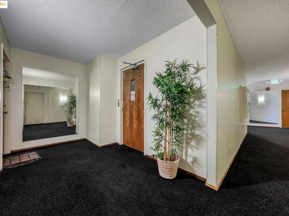 567 Oakland Ave. 101, Oakland CA 94611