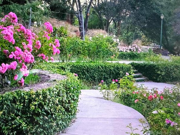 567 Oakland Ave. 101, Oakland CA 94611