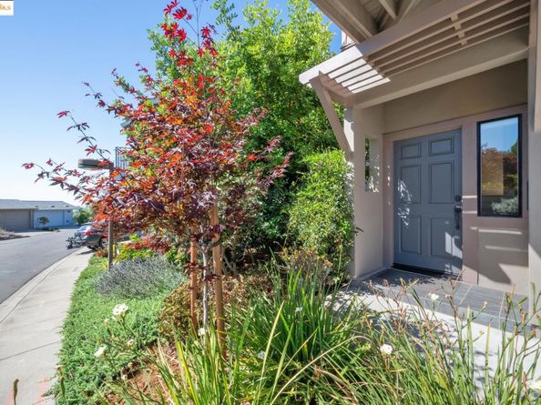 61 Starview Dr., Oakland CA 94618