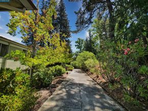 1413 Ptarmigan Drive 3, Walnut Creek CA 94595