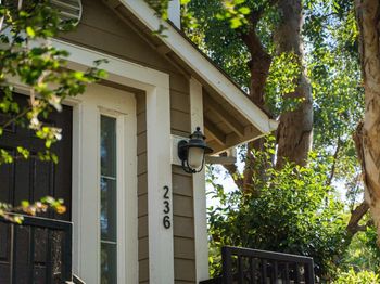 236 Birch Creek Ter