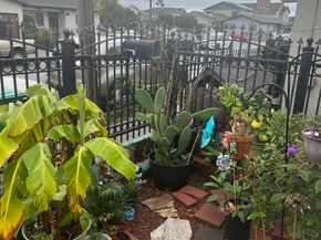 619 2nd st, Richmond CA 94801