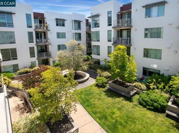 555 Ygnacio Valley Rd