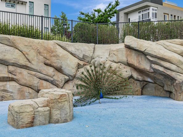223 William manly st 1, San Jose CA 95136