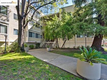 240 N Bayshore Blvd