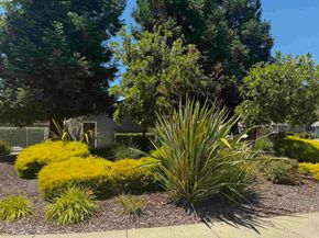 385 Kensington Cmn, Livermore CA 94551