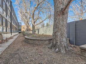 1050 N Corona Street 308, Denver CO 80218