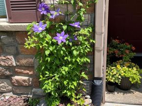 22960 E Roxbury Drive F, Aurora CO 80016