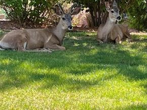 22960 E Roxbury Drive F, Aurora CO 80016