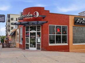 925 N Lincoln Street 5B, Denver CO 80203