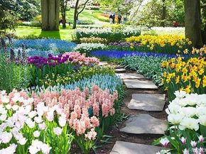 1355 Gaylord Street 4, Denver CO 80206