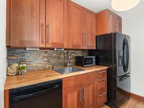 1446 N Gilpin Street 1, Denver CO 80218