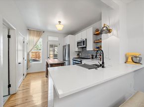 217 E Cedar Avenue, Denver CO 80209