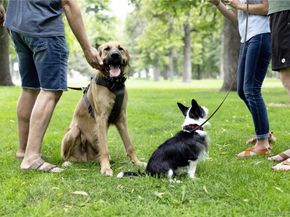 4975 Knox Court, Denver CO 80221