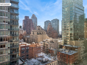 250 East 53rd Street 1403, New York NY 10022