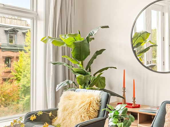 323 Greene Avenue 4A, Brooklyn NY 11238