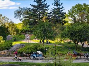 110 Central Park S 9A, New York NY 10019
