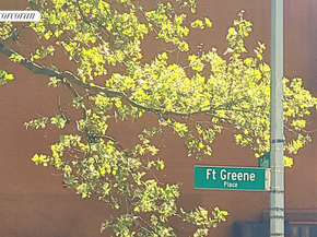 62 Fort Greene Place, Brooklyn NY 11217