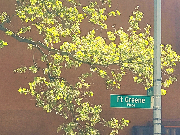 62 Fort Greene Place, Brooklyn NY 11217