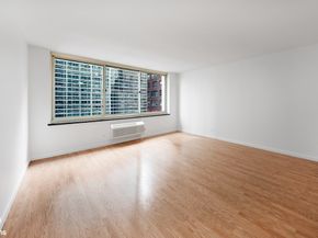 333 East 45th Street 9F, New York NY 10017