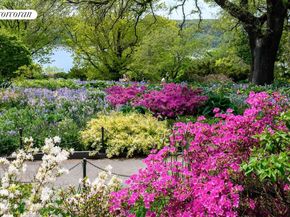 875 West 181st Street 3A, New York NY 10033