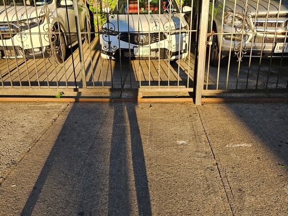 106 Crescent Street, Brooklyn NY 11208