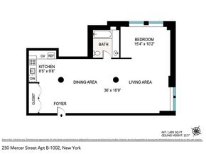 250 Mercer Street B1002, New York NY 10012
