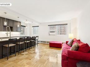 230 Jay Street 9E, Brooklyn NY 11201